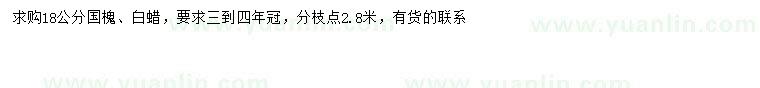 求購18公分國槐、白蠟