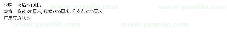 求購胸徑35公分火焰木