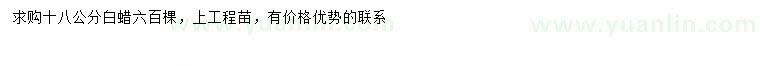 求購18公分白蠟