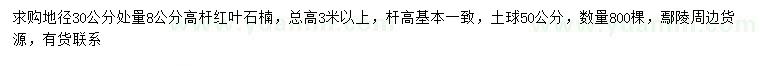 求購(gòu)30量8公分高桿紅葉石楠