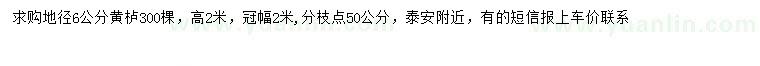 求購地徑6公分黃櫨