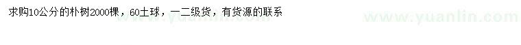 求購10公分樸樹