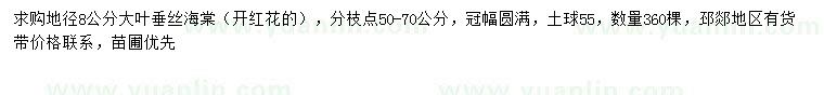 求購(gòu)地徑8公分大葉垂絲海棠