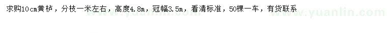 求購10公分黃櫨