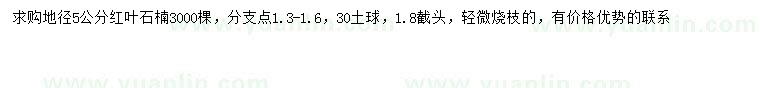 求購地徑5公分紅葉石楠