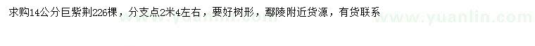 求購14公分巨紫荊