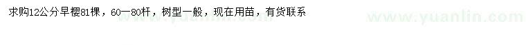 求購12公分早櫻