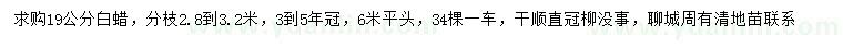 求購19公分白蠟