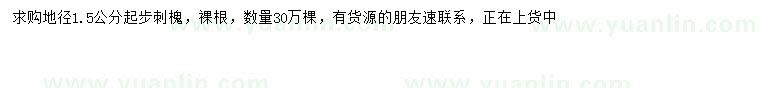 求購(gòu)地徑1.5公分以上刺槐