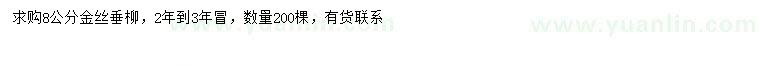 求購8公分金絲垂柳