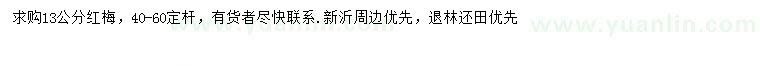 求購(gòu)13公分紅梅