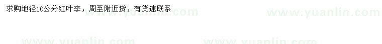 求購(gòu)地徑10公分紅葉李