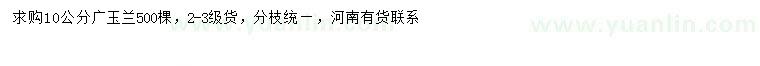 求購10公分廣玉蘭