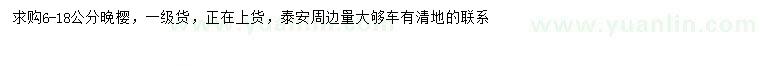 求購6-18公分晚櫻