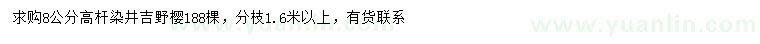 求購(gòu)8公分高桿染井吉野櫻