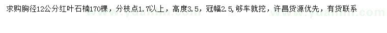 求購胸徑12公分紅葉石楠