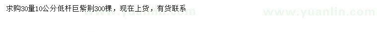 求購30量10公分巨紫荊