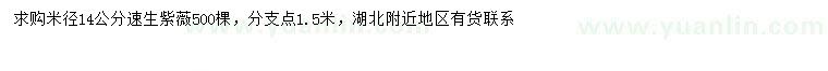 求購米徑14公分速生紫薇