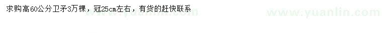求購高60公分衛(wèi)矛