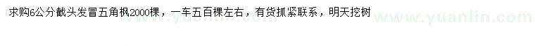 求購6公分五角楓
