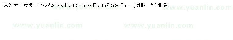 求購(gòu)15、18公分大葉女貞