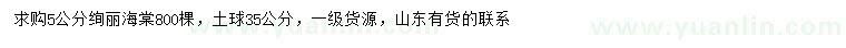 求購5公分絢麗海棠
