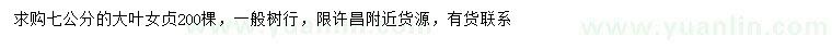 求購7公分大葉女貞