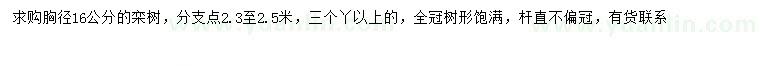 求購胸徑16公分欒樹
