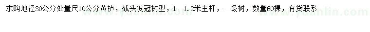 求購30量10公分黃櫨