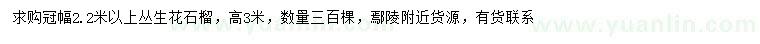 求購(gòu)冠幅2.2米以上叢生花石榴
