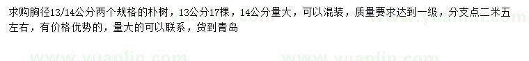 求購(gòu)胸徑13、14公分樸樹