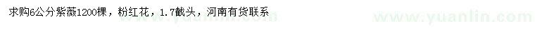 求購6公分紫薇