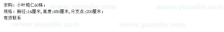 求購胸徑14公分小葉欖仁