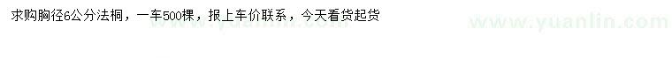 求購胸徑6公分法桐