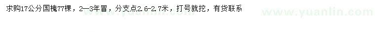 求購(gòu)17公分國(guó)槐