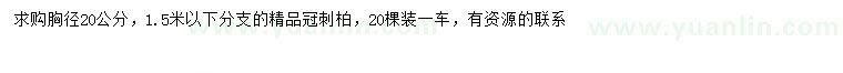求購胸徑20公分刺柏