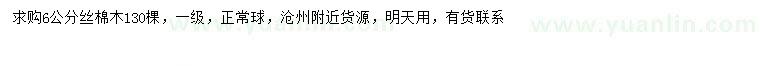 求購6公分絲棉木