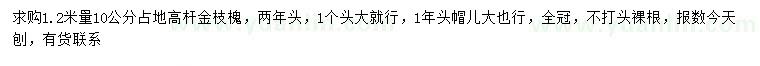 求購1.2米量10公分高桿金枝槐