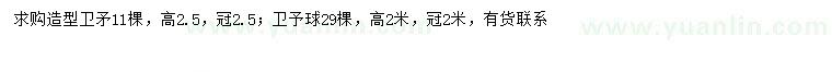求購冠幅2米衛(wèi)矛球、冠幅2.5米造型衛(wèi)矛