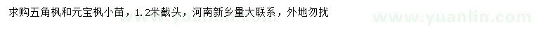 求購五角楓小苗、元寶楓小苗