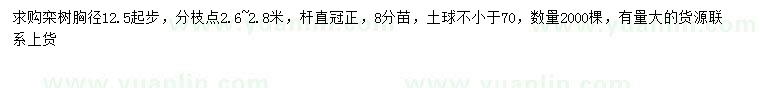 求購(gòu)胸徑12.5公分以上欒樹(shù)