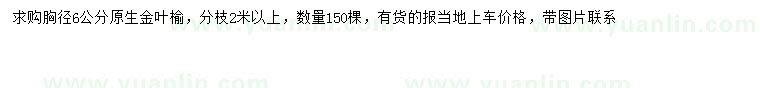 求購胸徑6公分金葉榆