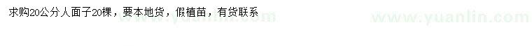 求購20公分人面子