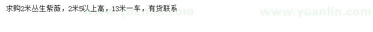 求購(gòu)2米叢生紫薇