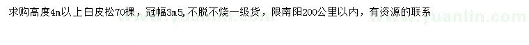 求購高4米以上白皮松