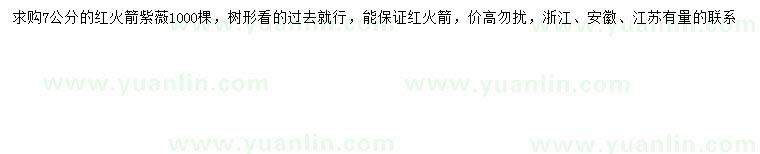 求購7公分紅火箭紫薇