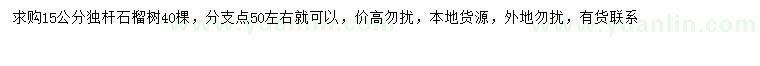 求購15公分石榴樹