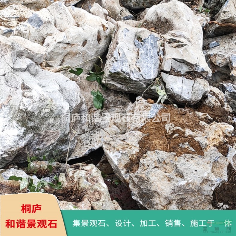 桐廬景觀石產(chǎn)地直銷 園林太湖石 假山石 奇石