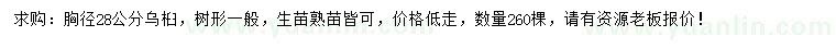 求購胸徑28公分烏桕