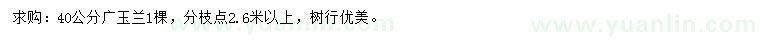 求購40公分廣玉蘭
